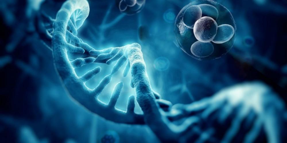 How Much Does Regenerative Medicine Cost in 2026? What Actually Determines the Price