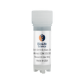 BioLife Concentrated Exosome Matrix 60B